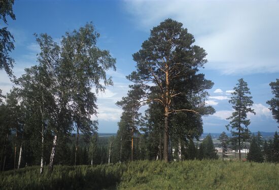 Pervouralsk environs