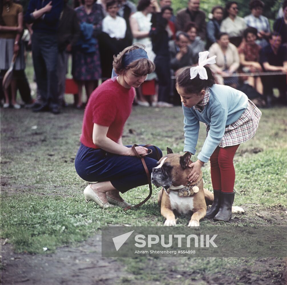 Tracker dog show