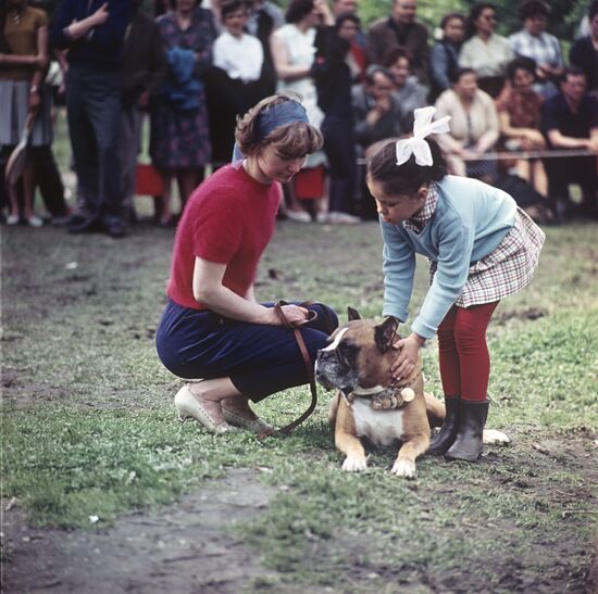 Tracker dog show