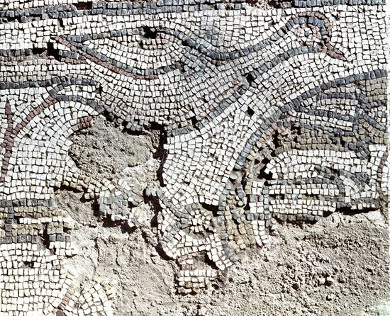 Mosaic carpet