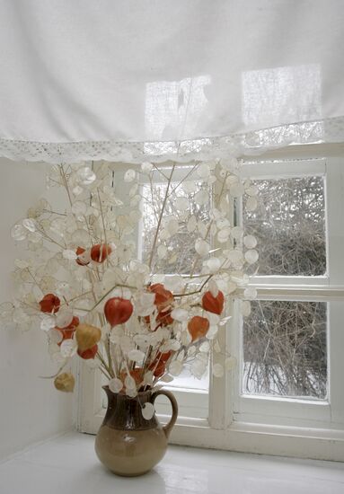 Anton Chekhov memorial museum