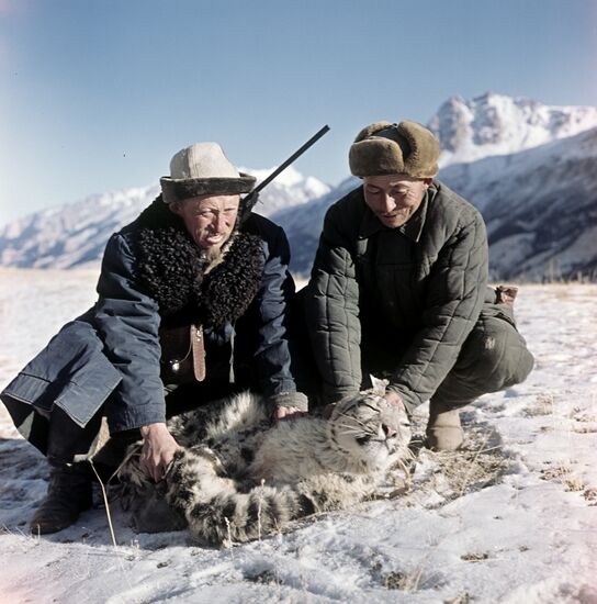 Hunters catch snow leopard