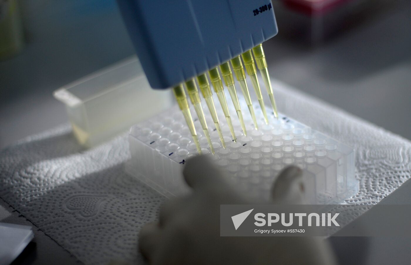 Kurchatov Institute of Atomic Energy