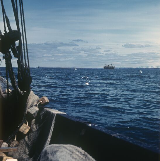 The Lenin fishing cooperative