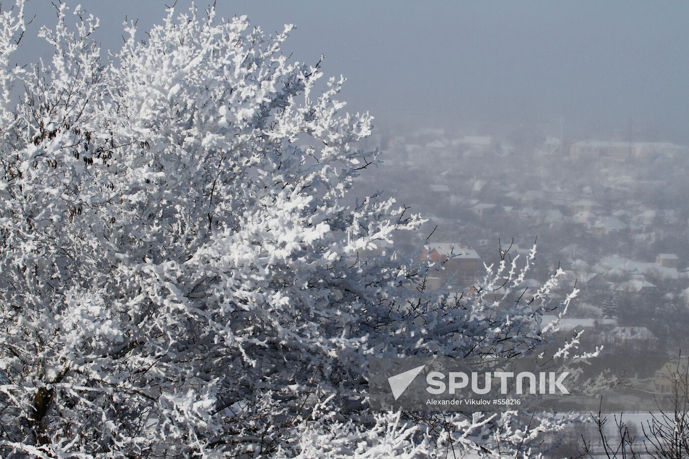 Frost in Stavropol