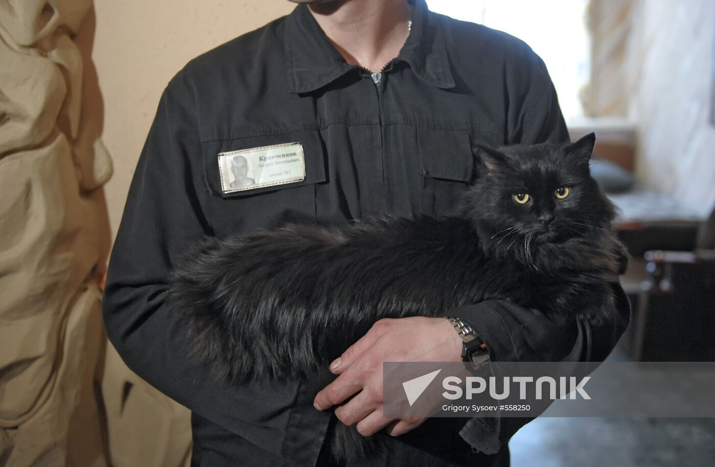 Сolony with strict regime in Melekhovo village