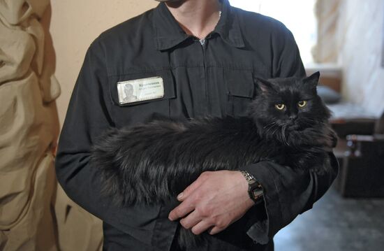 Сolony with strict regime in Melekhovo village