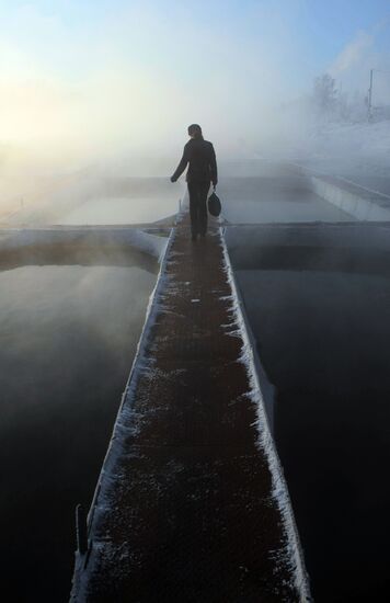 Sturgeon farm "Fish Federation"