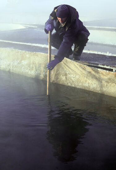 Sturgeon farm "Fish Federation"