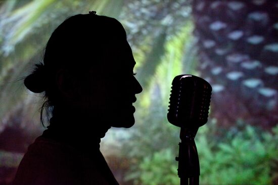 Karaoke Boom club