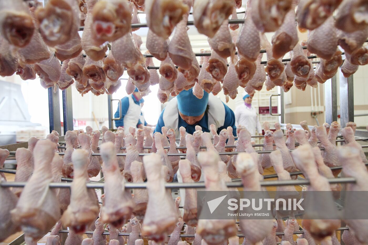 Reftinskaya chicken processing plant, Sverdlovsk Region