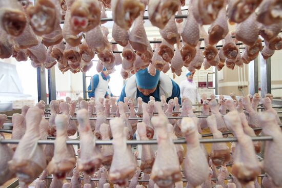 Reftinskaya chicken processing plant, Sverdlovsk Region