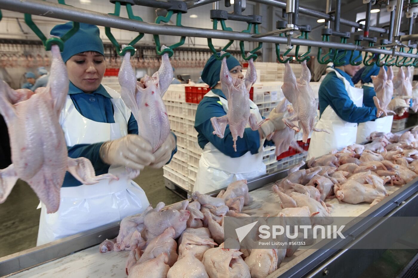 Reftinskaya chicken processing plant, Sverdlovsk Region