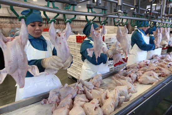Reftinskaya chicken processing plant, Sverdlovsk Region