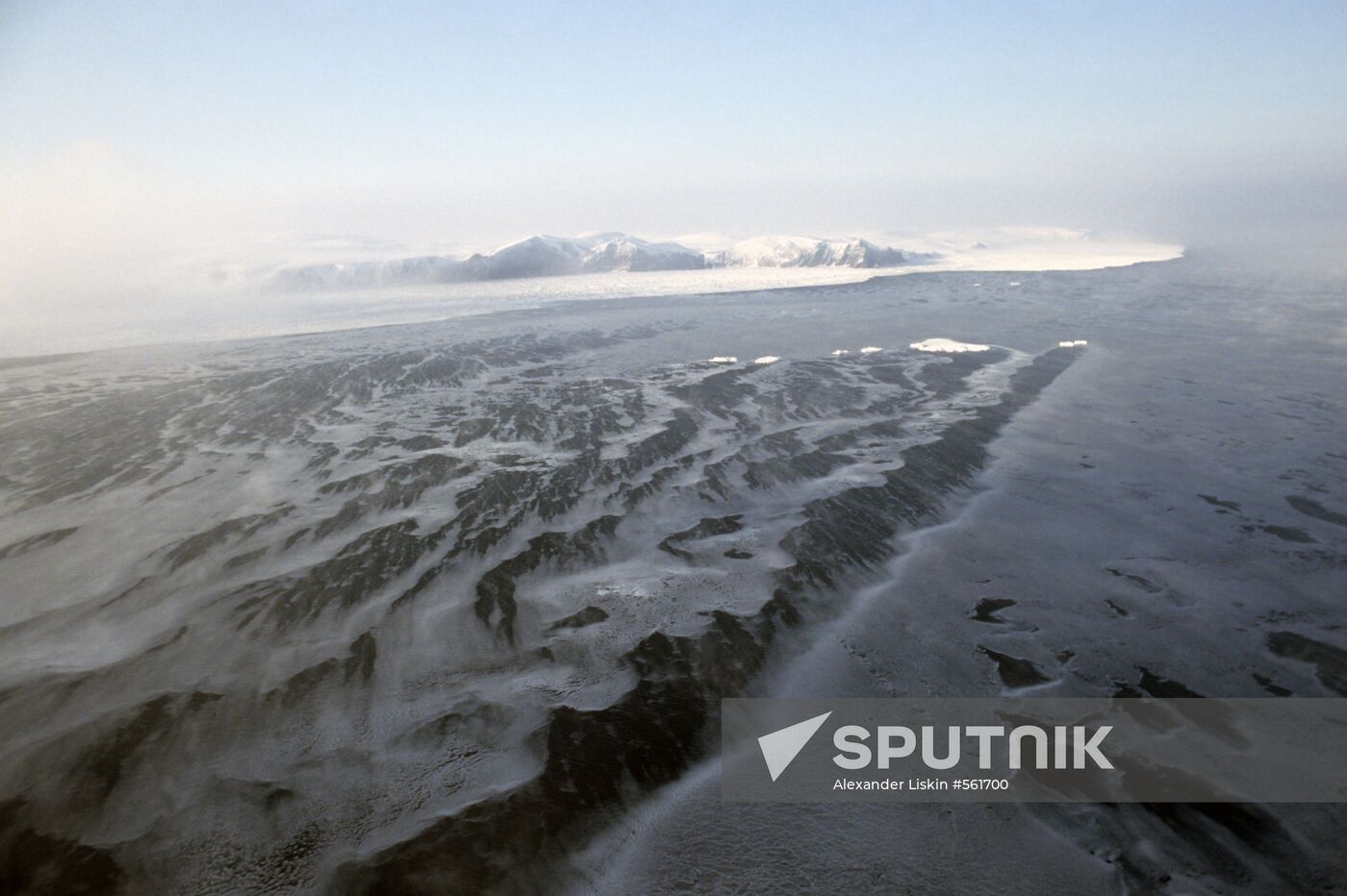Wrangel Island Nature Reserve