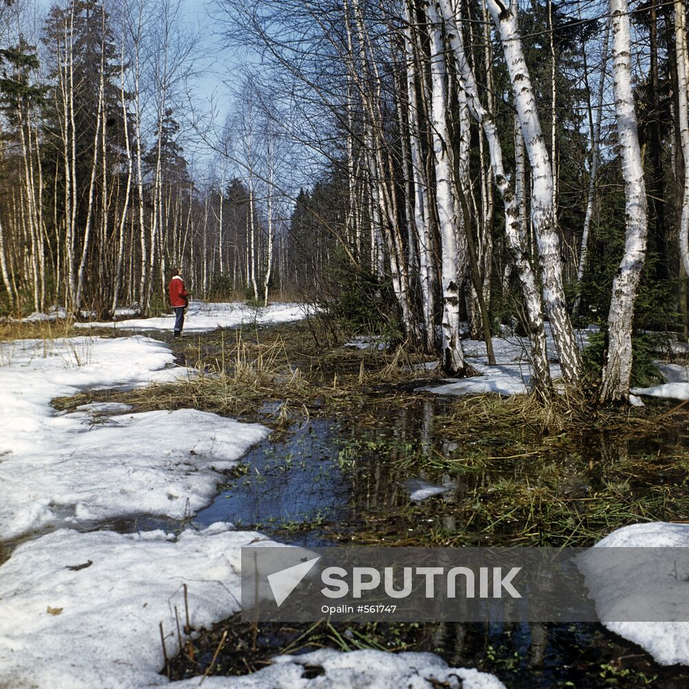 Spring in Moscow region