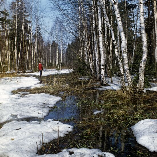 Spring in Moscow region