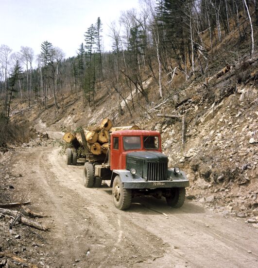 Removal of timber