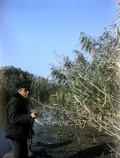 Astrakhan preserve