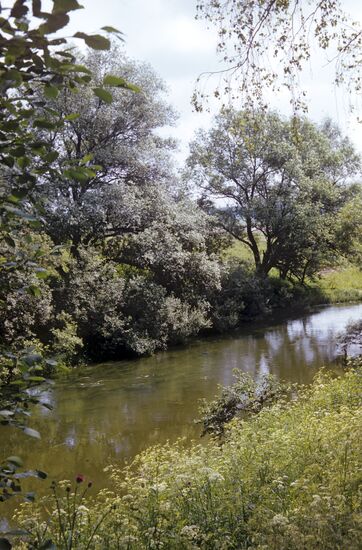 River Vorya