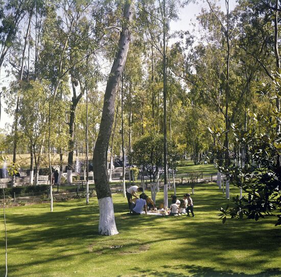 Picnic in Xochimilco park
