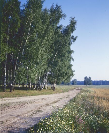 A dirty road