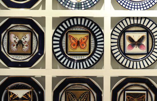 "Collection. Butterflies" composition