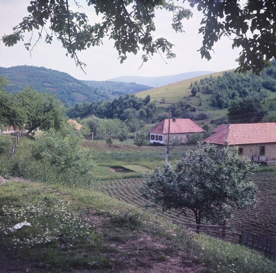 Yasenya village