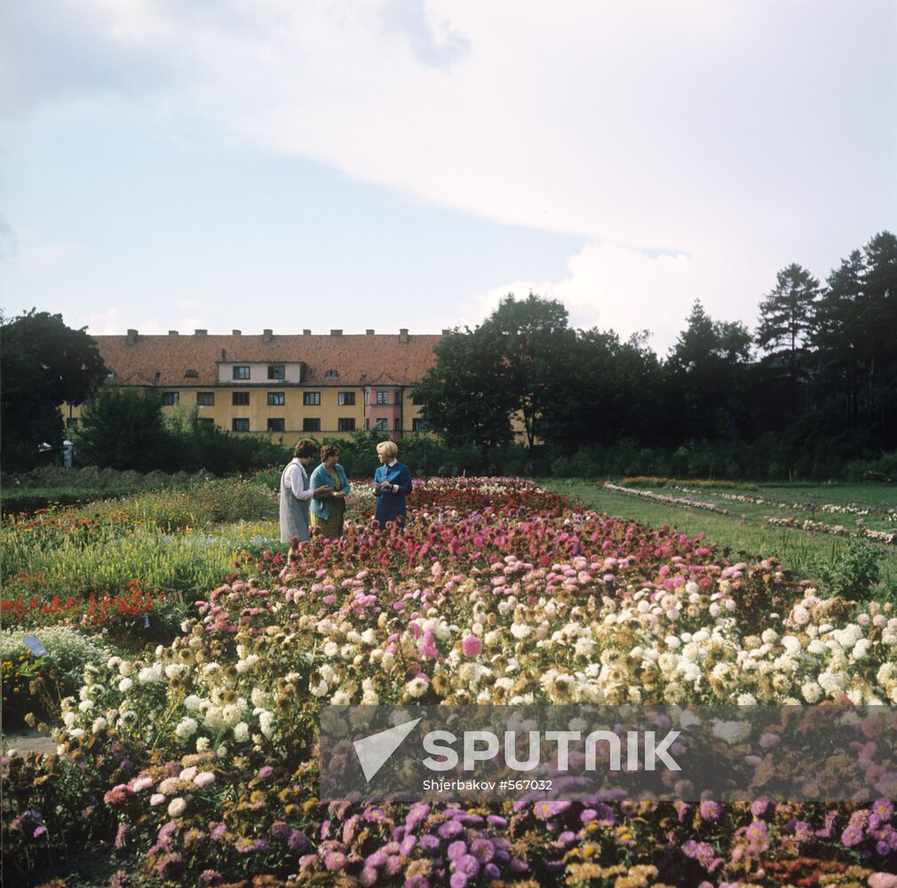 Botanical garden