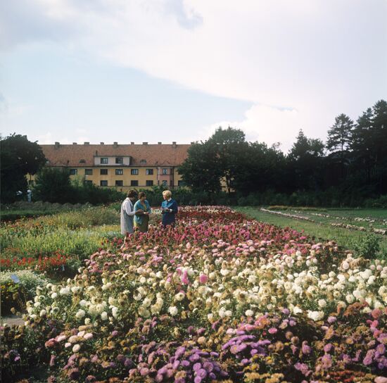 Botanical garden