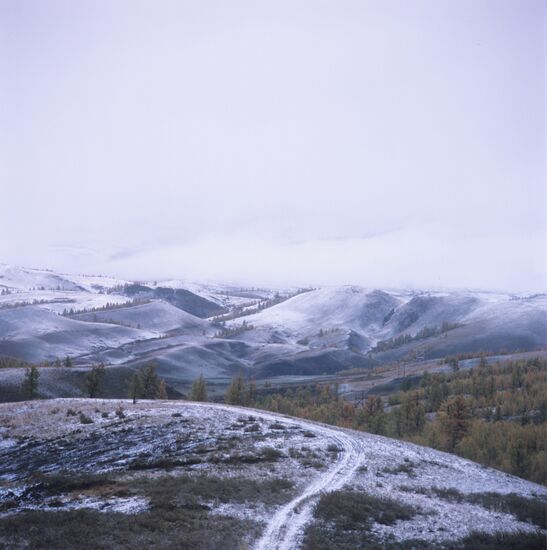 Landscape