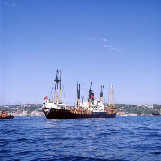 Vessels in the Golden Horn bay