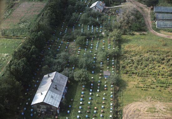 The Lenin collective farm