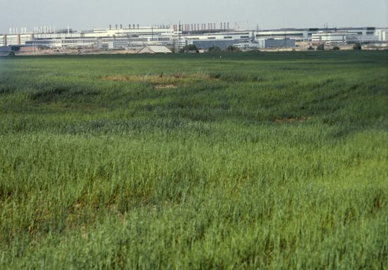 Cheboksary Industrial Tractor Plant