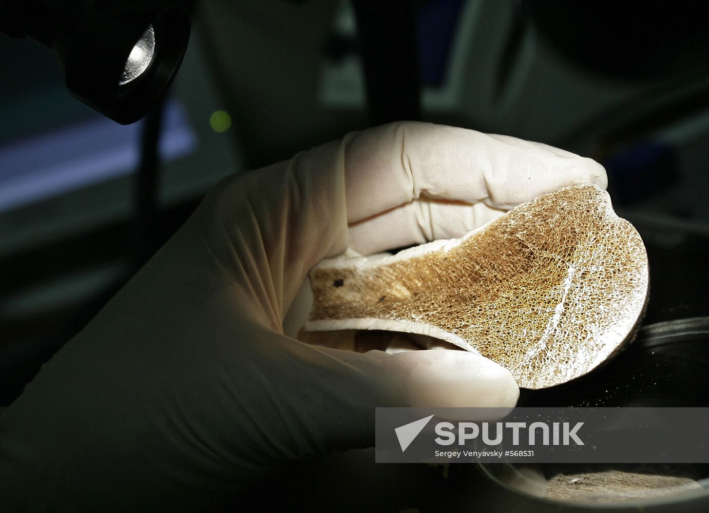 Rostov Region Forensic Bureau