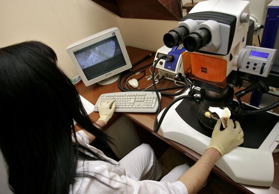 Rostov Region Forensic Bureau