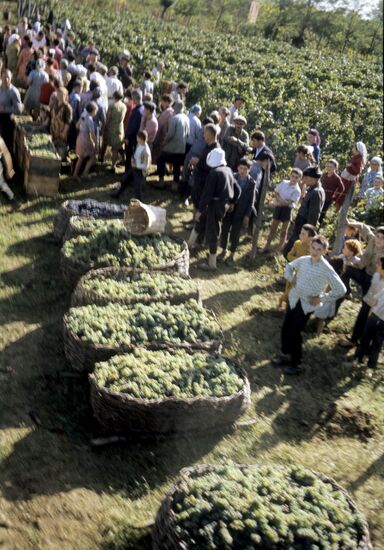 Villagers of "Krasny Oktyabr" collective farm