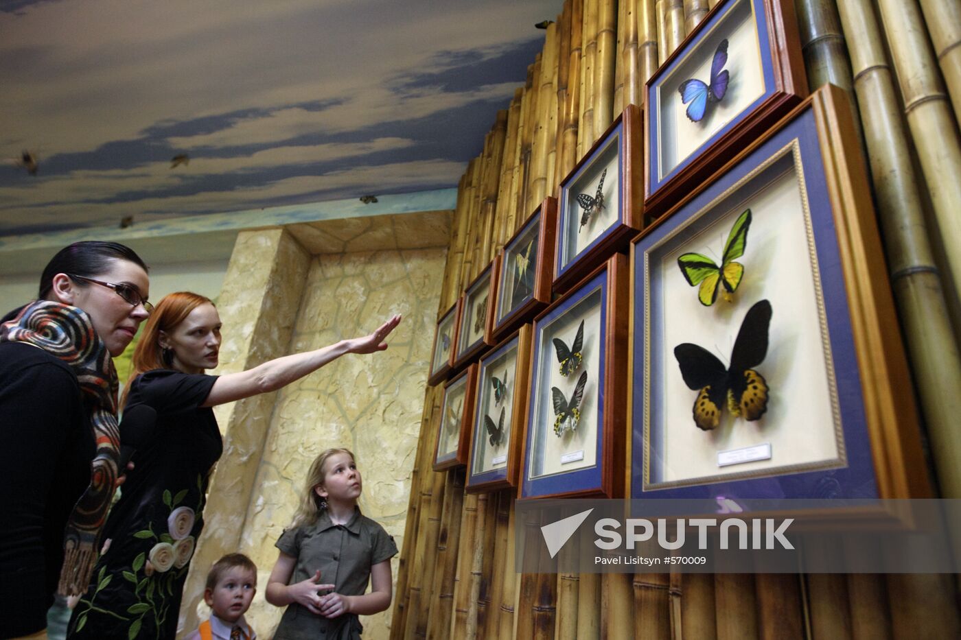 Butterfly Park opens in Yekaterinburg