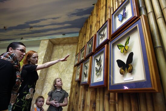 Butterfly Park opens in Yekaterinburg