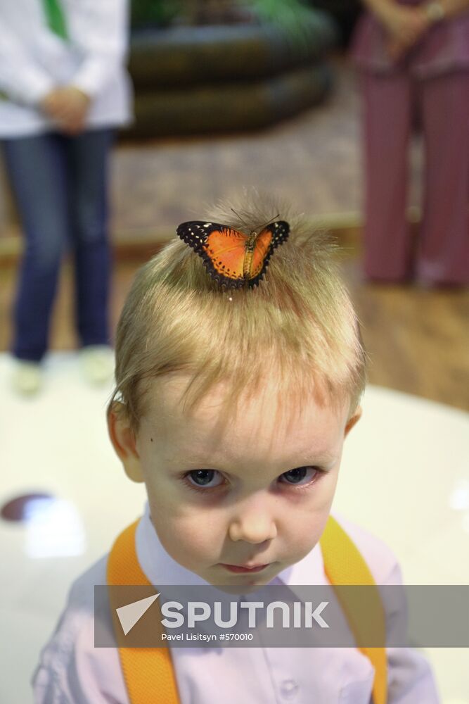 Butterfly Park opens in Yekaterinburg