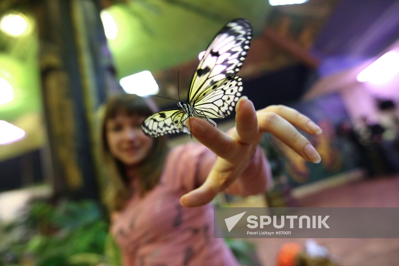 Butterfly Park opens in Yekaterinburg