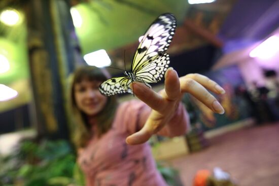 Butterfly Park opens in Yekaterinburg