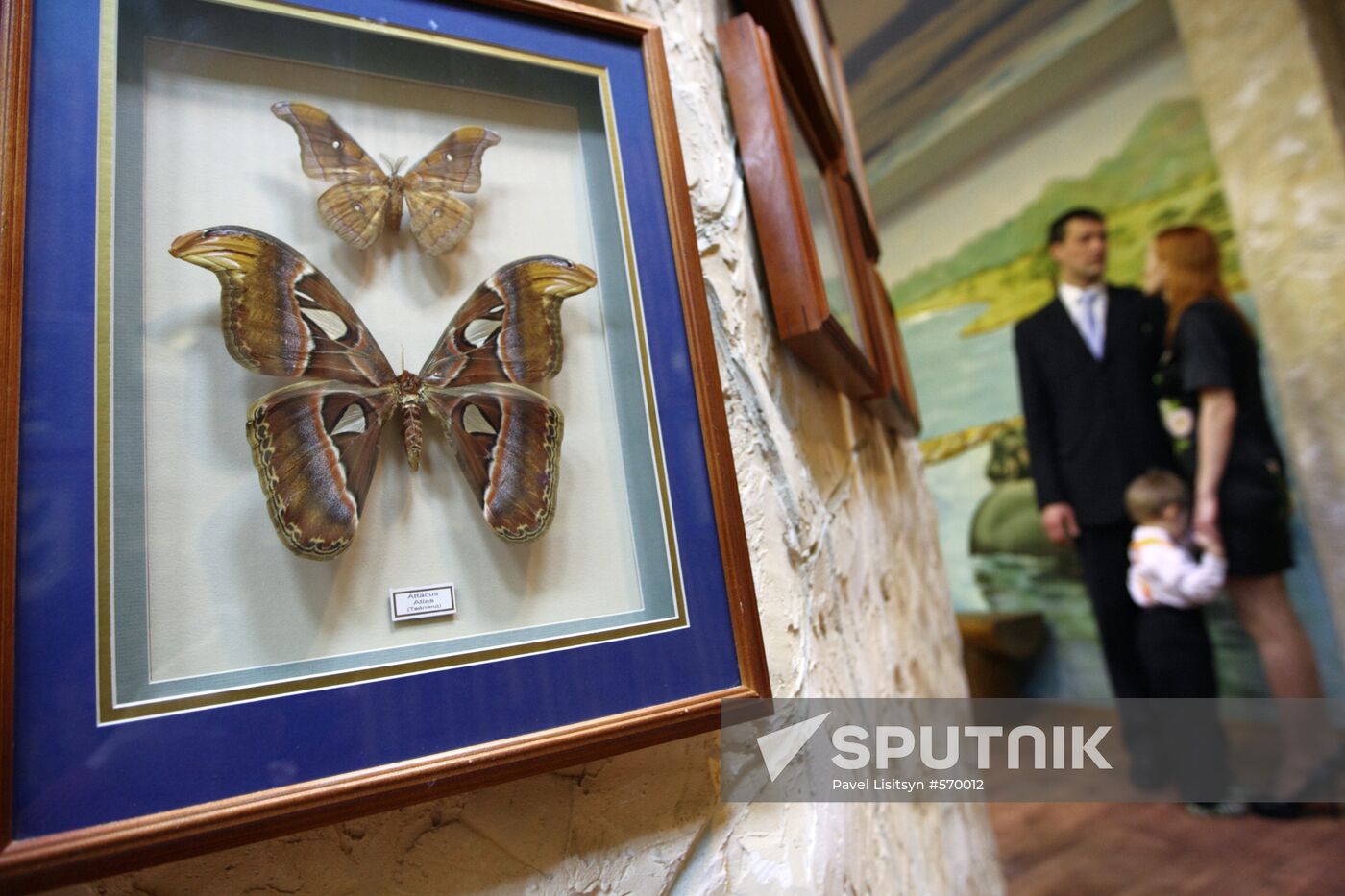 Butterfly Park opens in Yekaterinburg