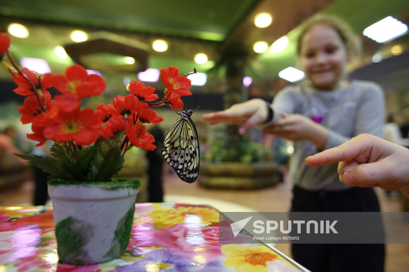 Butterfly Park opens in Yekaterinburg