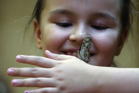 Butterfly Park opens in Yekaterinburg