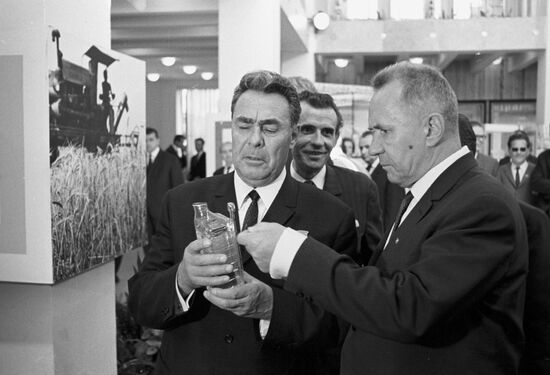 Leonid Brezhnev and Aleksei Kosygin