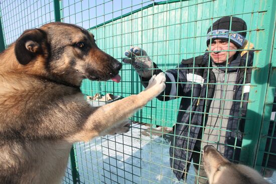 Animal shelter in Rudnevo, Moscow Region