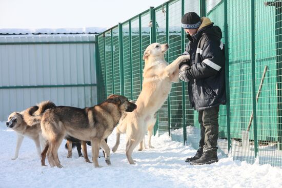 Animal shelter in Rudnevo, Moscow Region
