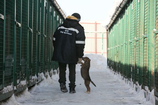 Animal shelter in Rudnevo, Moscow Region