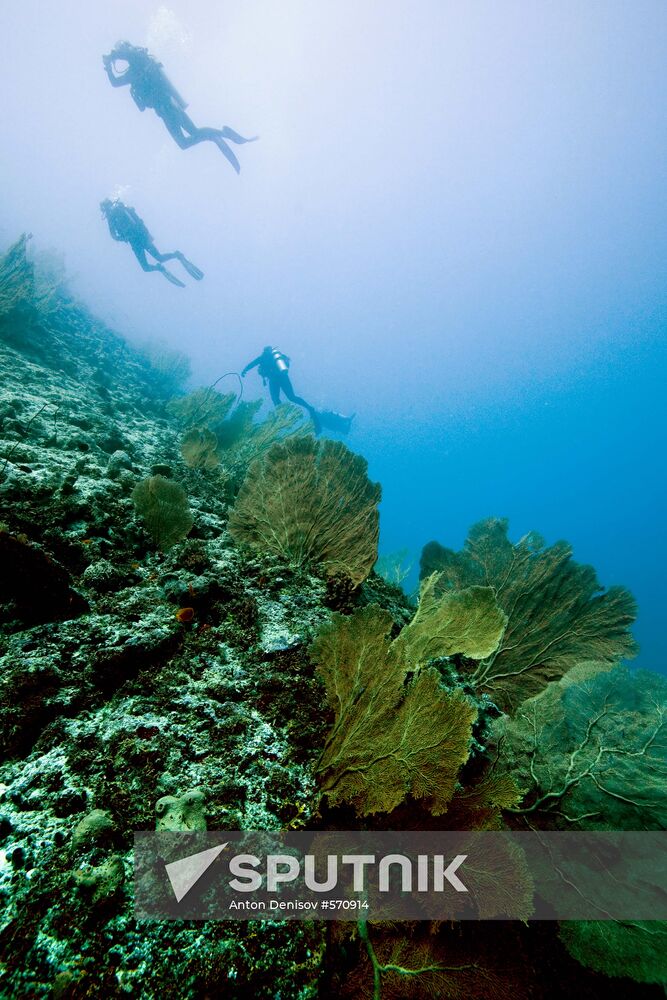Scuba diving